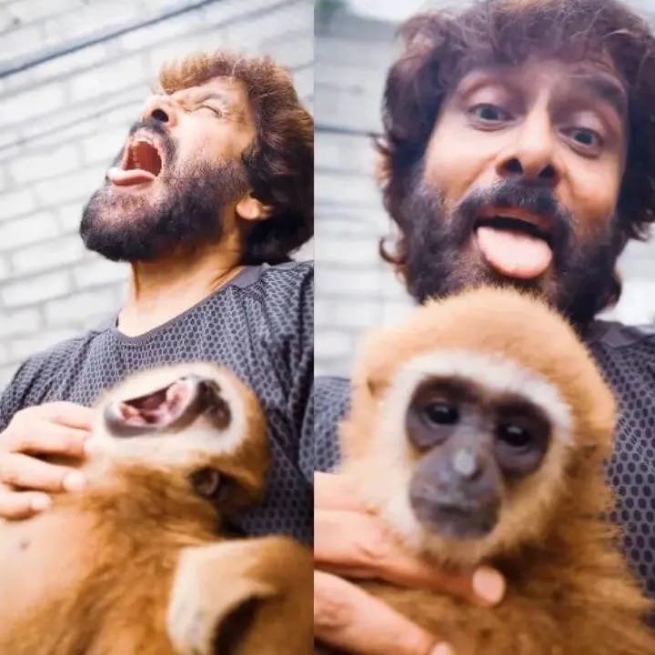 ലാർ ഗിബ്ബണിനെ തെക്കുകിഴക്കൻ ഏഷ്യയിൽ നിന്ന് കടത്തിക്കൊണ്ടുവന്നതോ?; ചിയാൻ വിക്രമിന്റെ റീലിൽ വനംവകുപ്പ് അന്വേഷണം