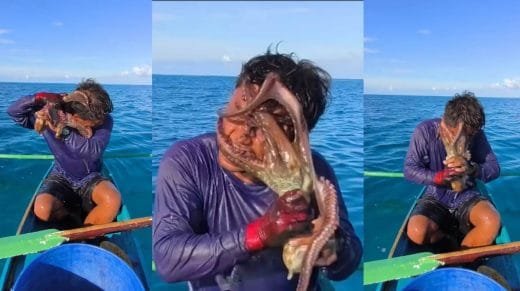 മുഖത്ത് അള്ളിപ്പിടിച്ച് നീരാളി; കടലിൽ മത്സ്യത്തൊഴിലാളിക്ക് നേരിട്ടത് ഭീതിജനക അനുഭവം