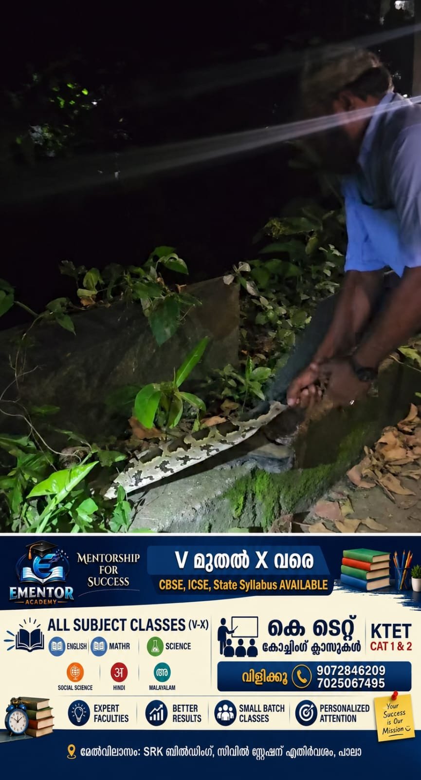 പാലാ–പൊൻകുന്നം റോഡിൽ പെരുമ്പാമ്പിന്റെ സാന്നിധ്യം; നാട്ടുകാർ പിടികൂടി