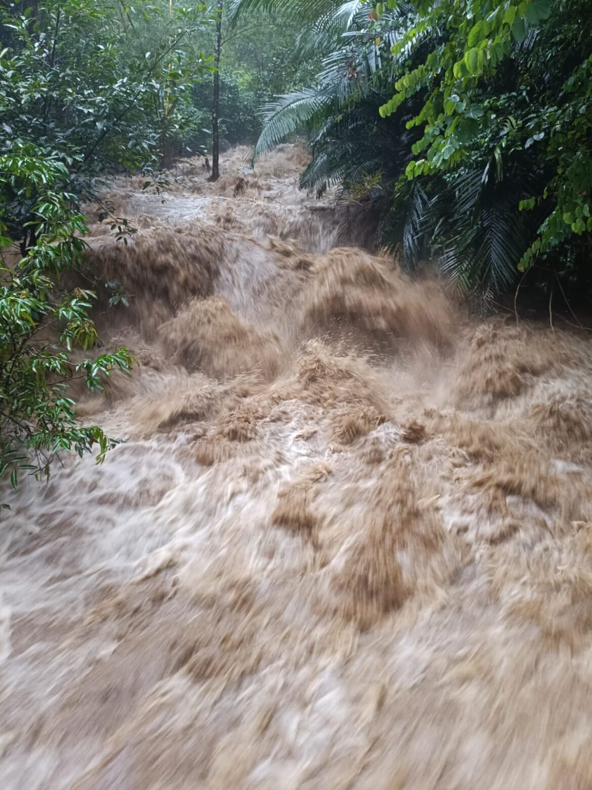 കോട്ടയത്ത് ശക്തമായ മഴ: വാഗമൺ കാരിക്കാട് ഉരുൾപൊട്ടൽ;തീക്കോയിയിൽ മണ്ണിടിച്ചിൽ ഉണ്ടായതായി സംശയം